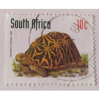 ЮАР 1998, черепаха