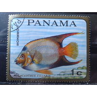 Панама 1968 Рыба
