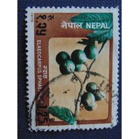 Непал 1978 г. Цветы.
