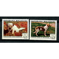 Мадагаскар - 1974г. - Собаки - полная серия, MNH [Mi 726-727] - 2 марки