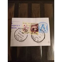 Беларусь вырезка фауна  марка 10 рублей на мелованной бумаге (2-13)