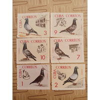 Куба 1966. Почтовые голуби