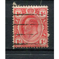 Британские колонии Трансвааль (Южная Африка) - 1904/1909 - Король Эдуард VII 1P - [Mi.119] - 1 марка. Гашеная.  (Лот 22EO)-T7P1