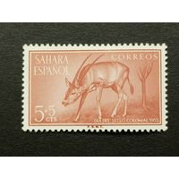 Сахара 1955. День печати