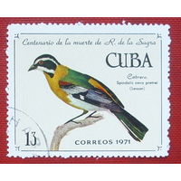 Куба. Птицы. ( 1 марка ) 1971 года. 4-13.