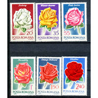 Румыния - 1970г. - Розы - полная серия, MNH [Mi 2868-2873] - 6 марок