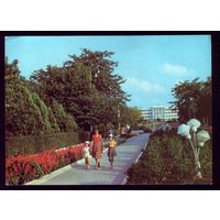 1981 год Анапа Центральная аллея парка Победы