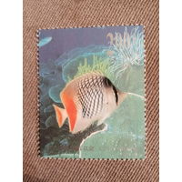 Китай 1998. Коралловые рыбы