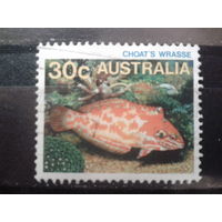 Австралия 1984 Рыба