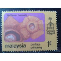 Малайские штаты Пулау Пинанг 1979 Цветы*