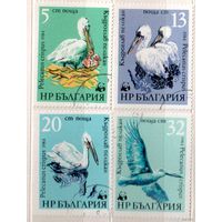 Пеликаны. 4 марки, 1984г.,гаш. Болгария.