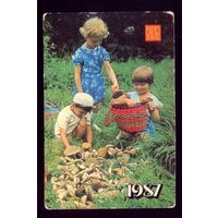 Дети с грибами
