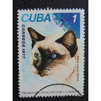 Куба 1977 г. Фауна.