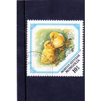 Монголия.Ми-1472.Цыплята (Gallus gallus domesticus). Серия: Молодые животные. 1982.
