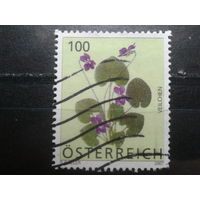 Австрия 2007 Стандарт, цветы 100с Михель-2,0 евро гаш