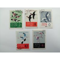 1962 СССР. Птицы. Полная серия