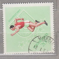 Спорт  Венгрия 1965 год лот 14