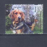 [1801] Польша 2006. Фауна.Собаки. Гашеная марка.
