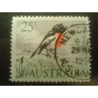 Австралия 1966 Птица 25с