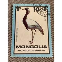 Монголия 1979. Птицы. Anthropoides Virgo. Марка из серии