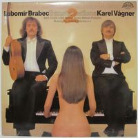Lubomir Brabec, Karel Vagner - Transformations II