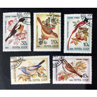 СССР 1981 г. Певчие птицы. Фауна, полная серия из 5 марок #0188-Ф1P44