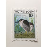 Венгрия 1980. Птицы - Европейская кампания по охране природы