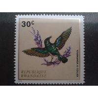 Руанда 1972 птица