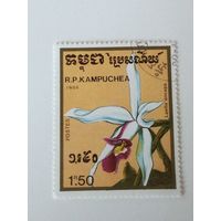 Камбоджа 1988. Орхидея