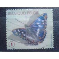 Бельгия 2012 Стандарт, бабочка