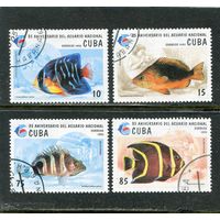 Куба. Аквариумные рыбки
