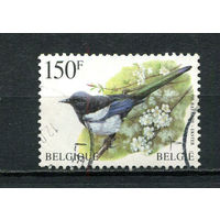 Бельгия - 1987 - Птица - [Mi. 2749] - полная серия - 1 марка. Гашеная.  (Лот 8EB)-T7P3