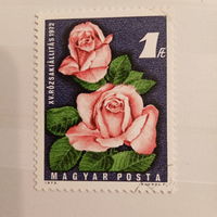 Венгрия 1972. Флора. Роза