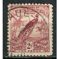 Новая Гвинея - 1931 - Птица 2Р - [Mi.67] - 1 марка. Гашеная.  (LOT Eu29)-T10P10