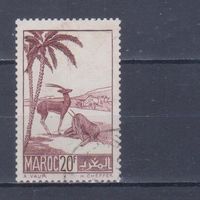 [1903] Французские колонии. Марокко 1939. Фауна.Антилопы.20 фр. Гашеная марка.