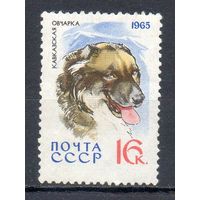 Собаки Кавказская овчарка СССР 1965 год 1 марка