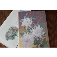 Комплект (открытка + конверт). Хризантемы. Фото и худ. И. Дергилев. Открытка двойная, чистая. 1989 год