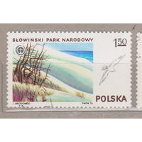 Птицы Фауна Польша 1976 год лот 1076