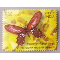 Индия 2008, бабочка