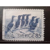 Швеция 1976 Стандарт, птицы