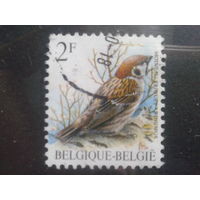Бельгия 1989 Стандарт, птица 2 франка