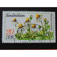 Германия 1976 г. Цветы.