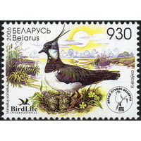 Птица года. Чибис Беларусь 2006 год (643)  серия из 1 марки