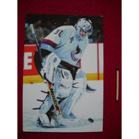 Карточка НХЛ "NHl" Garth Snow. St. Vancouver Canucks. Panini.
