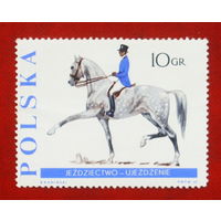 Польша. Конный спорт. ( 1 марка ) 1967 года. 10-13.
