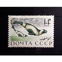 Марка СССР 1971 год Морские млекопитающие