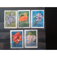 1971 Тропические цветы Полная серия