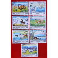 Монголия. Фауна. ( 7 марок ) 1982 года.