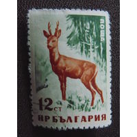 Болгария 1958 г. Косуля.