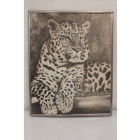 Старое фото Леопард в металлической раме
